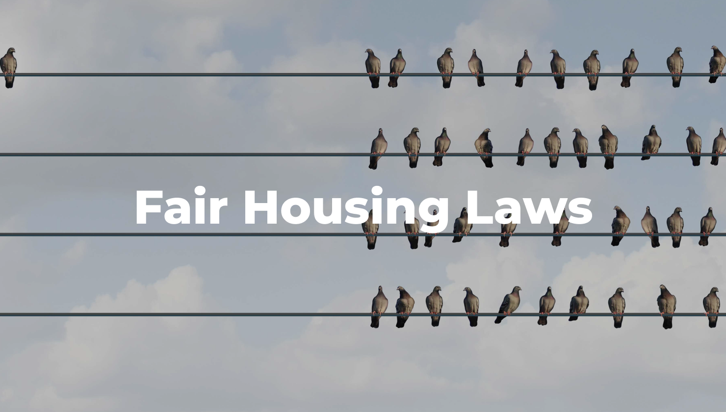 fair housing laws