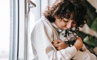 How Pet-friendly Housing Increases Profit