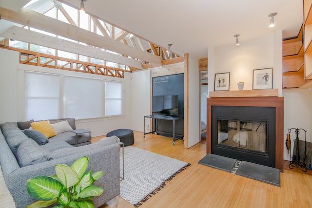 Living room with fireplace