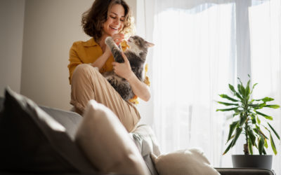 The Cost of Allowing Pets in Rentals