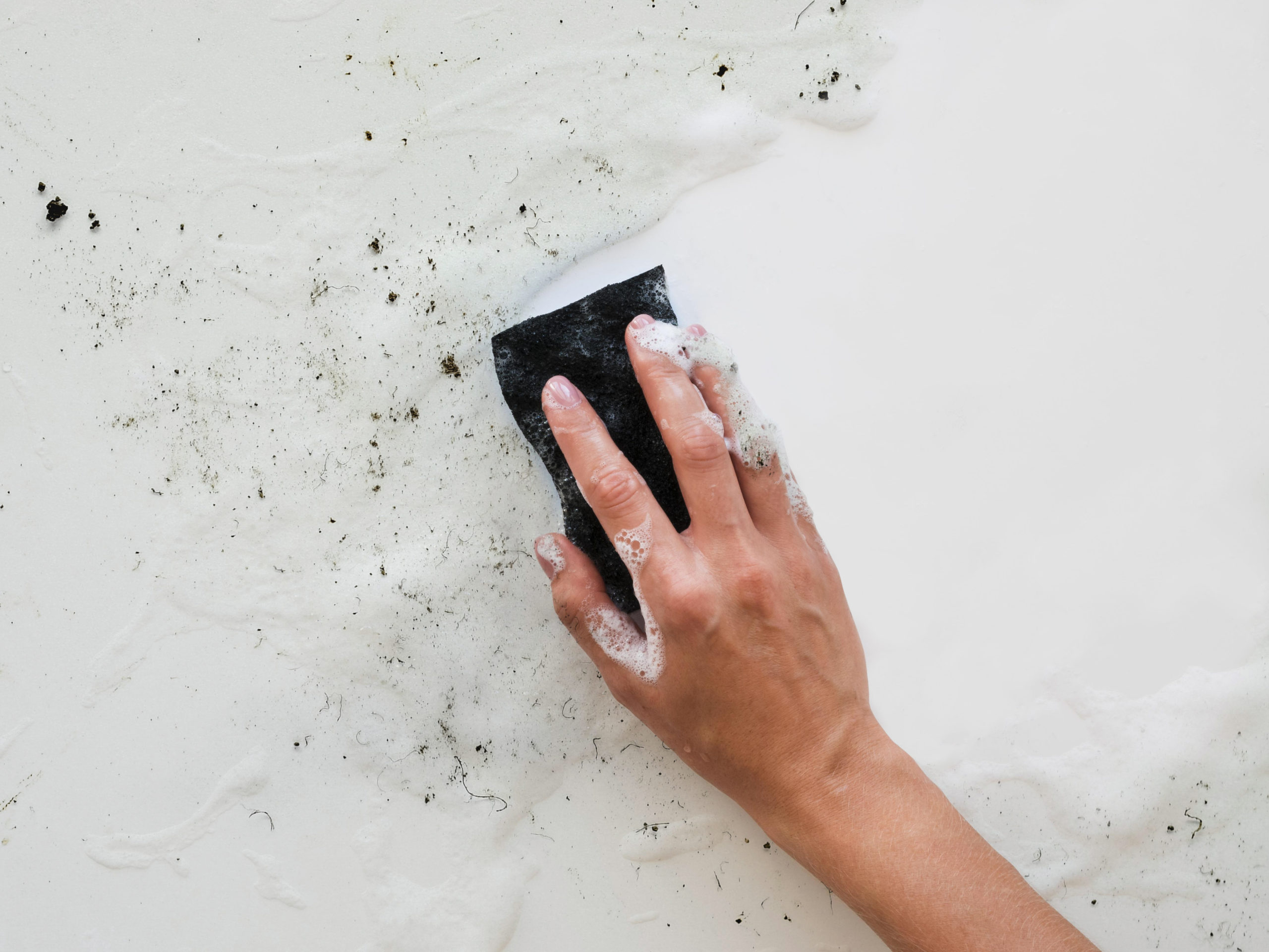how to get rid of mold in the house