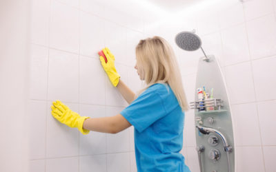 How to Get Rid of Gnats in Bathroom: Effective Methods to Try Today